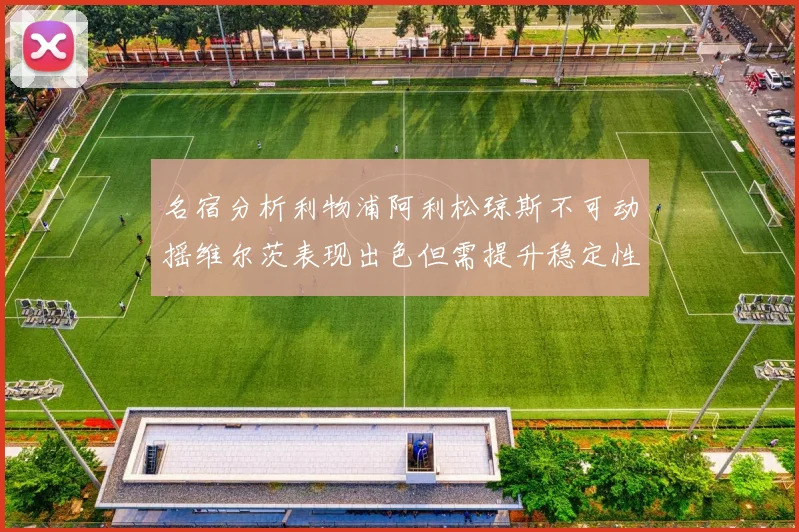 名宿分析利物浦阿利松琼斯不可动摇维尔茨表现出色但需提升稳定性